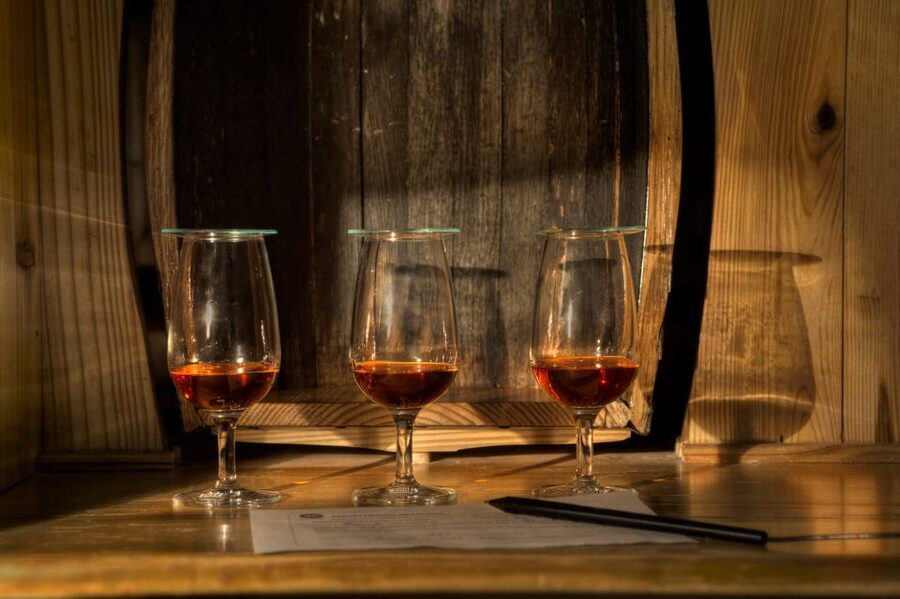San Pedro De Macoris: Ron Barcerló Rum Factory Tour - Why the $20 price works