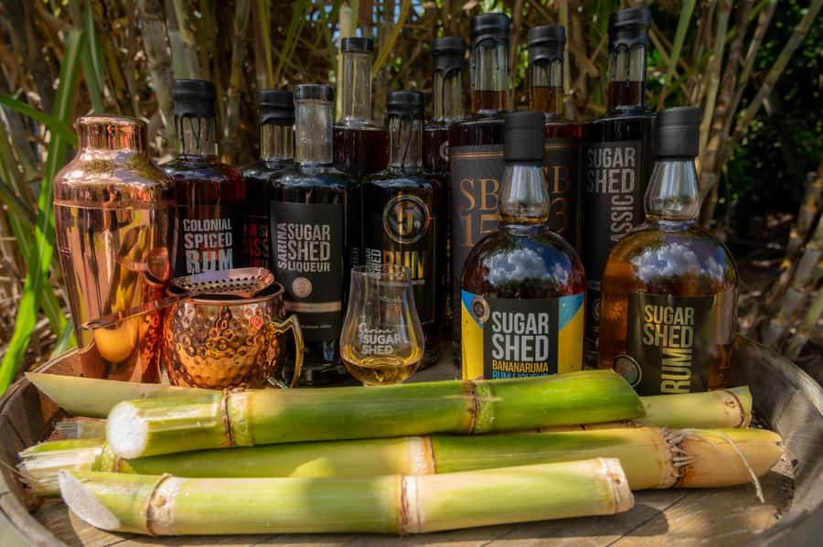 Sarina: Rum Distillery Guided Tour and Tasting - My practical booking advice