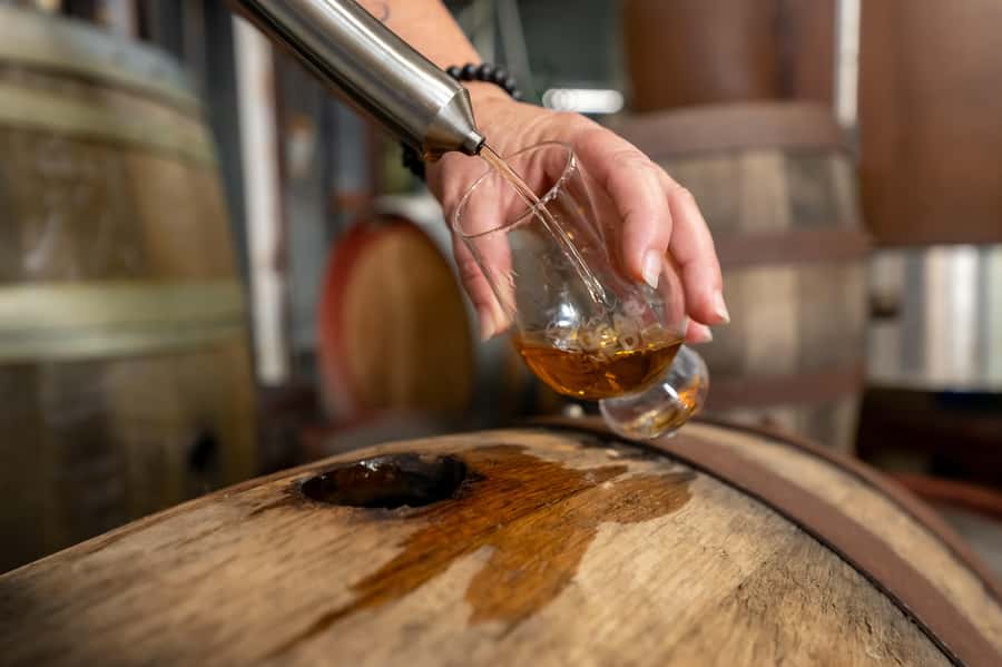 Sarina: Rum Distillery Guided Tour and Tasting - From crushed cane to distilled spirit