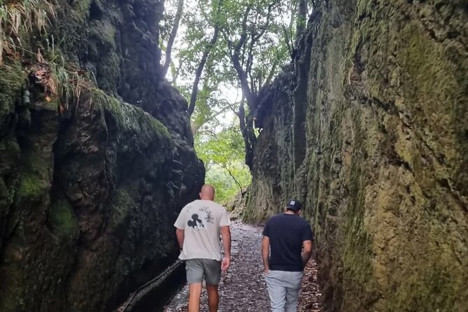 Scenic Hiking and Rum Tasting Experience - Guindaste Skywalk: a fast stop with a strong visual payoff