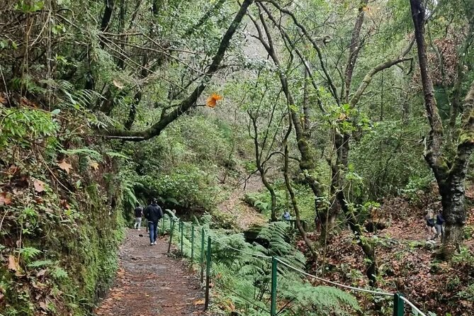 Scenic Hiking and Rum Tasting Experience - Porto da Cruz: a short rum stop with local flavor