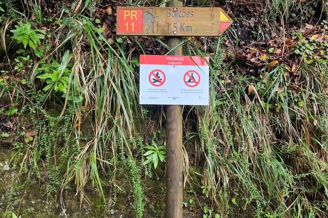 Scenic Hiking and Rum Tasting Experience - Ponta de São Lourenço: a stark finish on the eastern peninsula
