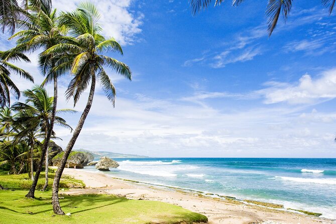 Small-Group Story of Rum Tour in its Birthplace of Barbados - The road time and motion sickness question