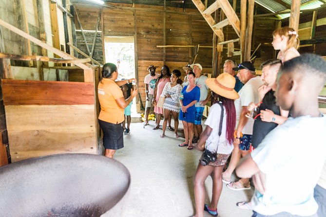 Soufriere Excursion with Rum & Chocolate Tasting - The group size, music, and pace