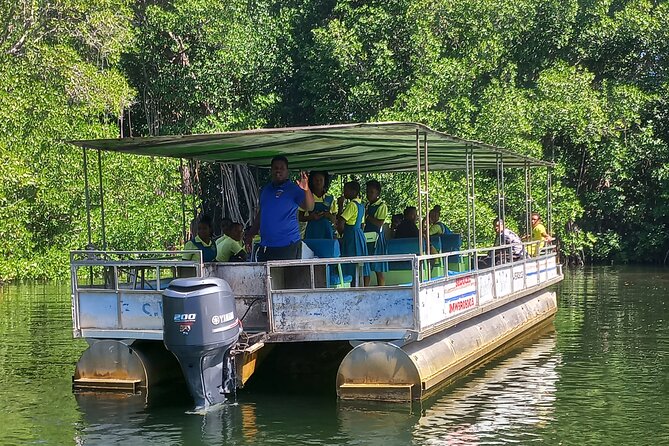 South Coast Tour to YS Falls, Black River Safari and Appleton Rum - Appleton Estate: add rum history to the nature day