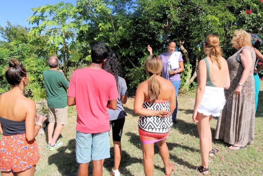 St. John's: Rum Cooking Class with 6 Rum Tastings - Should you book Nicole’s Table?