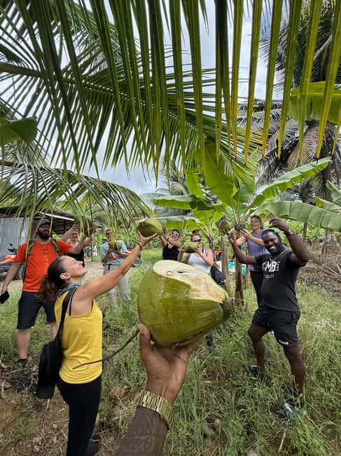 St. Lucia: ATV Tour with Beach Ride and Rum Tasting - Riding the rainforest trails