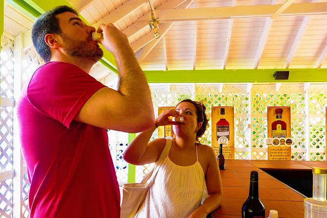 St Lucia Rum Distillery Tour & Mineral Bath Excursion - What to expect at the St. Lucia rum distillery