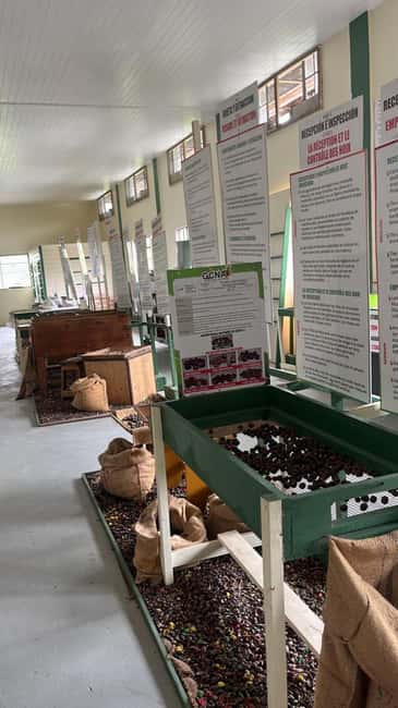 Taste & Explore Grenada: Rum, Chocolate & Spice Journey - Nutmeg, from island crop to useful product