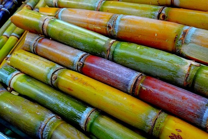 Taste of Grenada: Rum Hopping & Lunch - The quality of the guide can shape the day