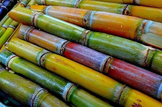 Taste of Grenada: Rum Hopping & Lunch - Clarke’s Court Distillery and Grenada’s rum tradition