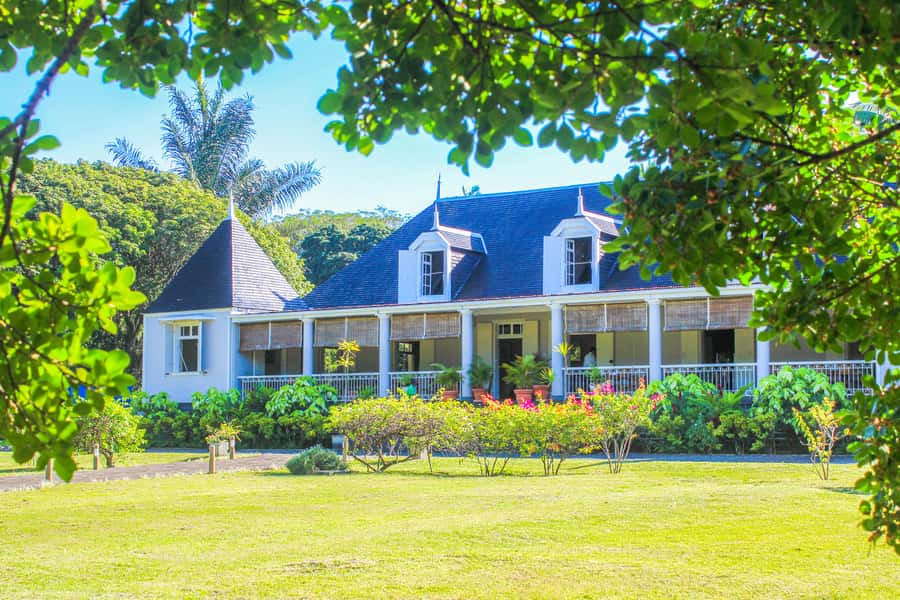 Tea, Rum & Vanilla Route - A food-and-history route through southern Mauritius