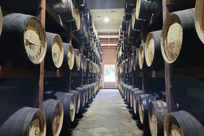 The Barrilito Rum Factory Experience Transportation Included - Key points to know before booking