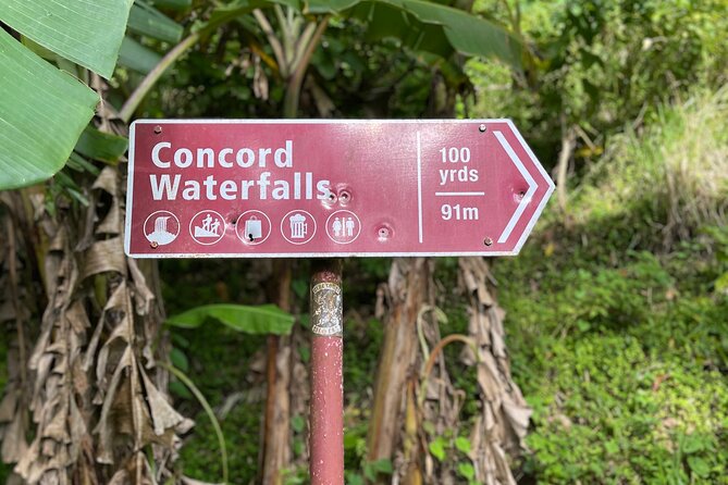West Coast: Rum Distillery, Concord waterfall, Nutmeg processing - Concord Falls brings a change of pace