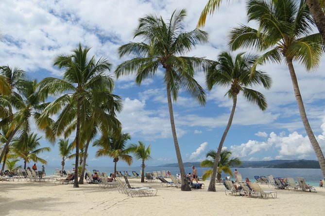 Whale Watching and Bacardi Island day trip from Punta Cana - Who should book this experience