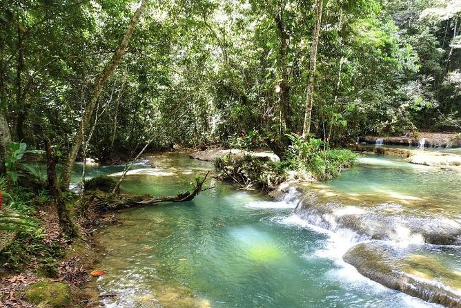 YS Falls and Appleton Estate Private Rum Tour - Who will enjoy this day most