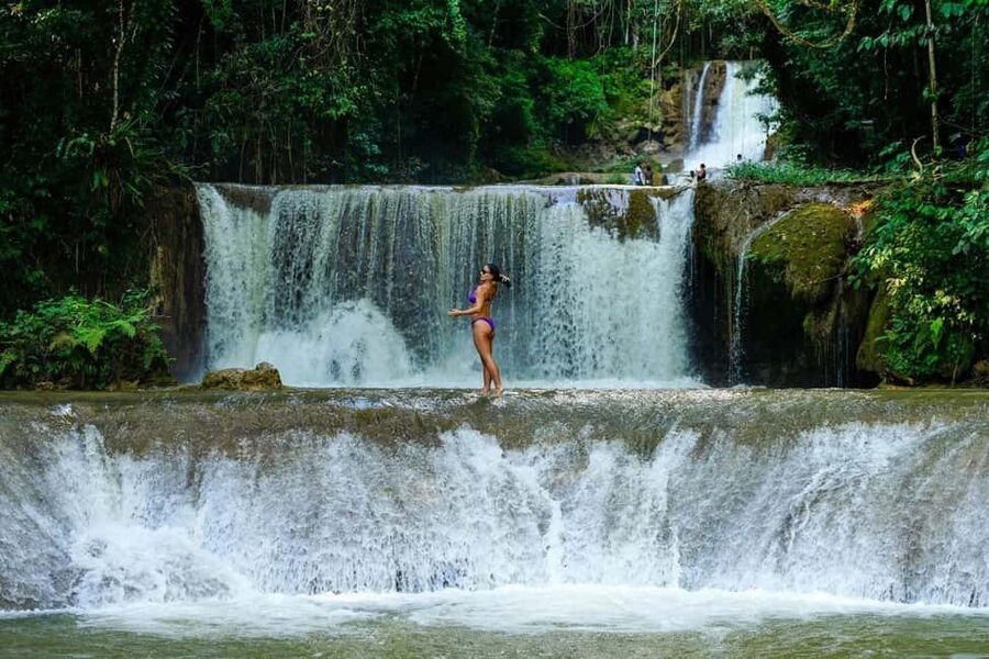 Ys Falls and Appleton Estate Private Tour - Two South Coast highlights in one private day