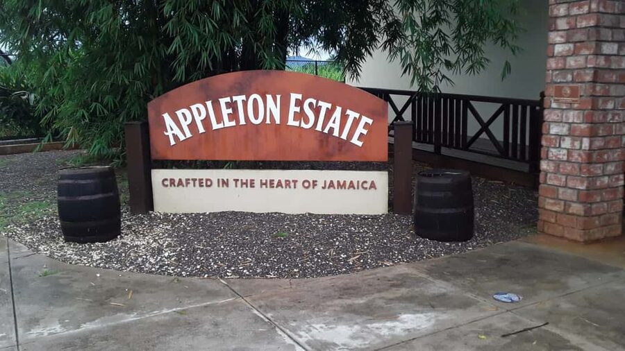 Ys Falls and Appleton Estate Private Tour - What the Appleton tasting is really like