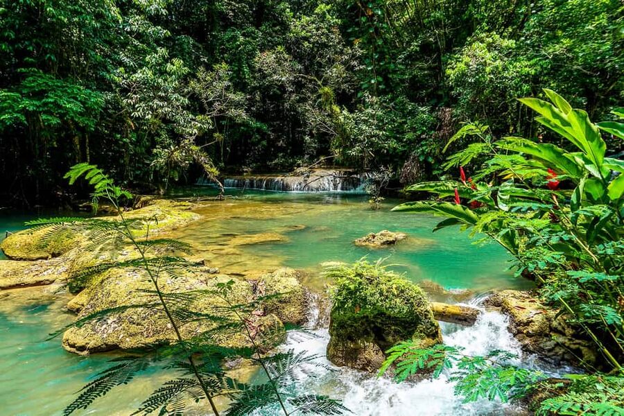 Ys Falls and Appleton Estate Private Tour - Should you book this Appleton and YS Falls tour?