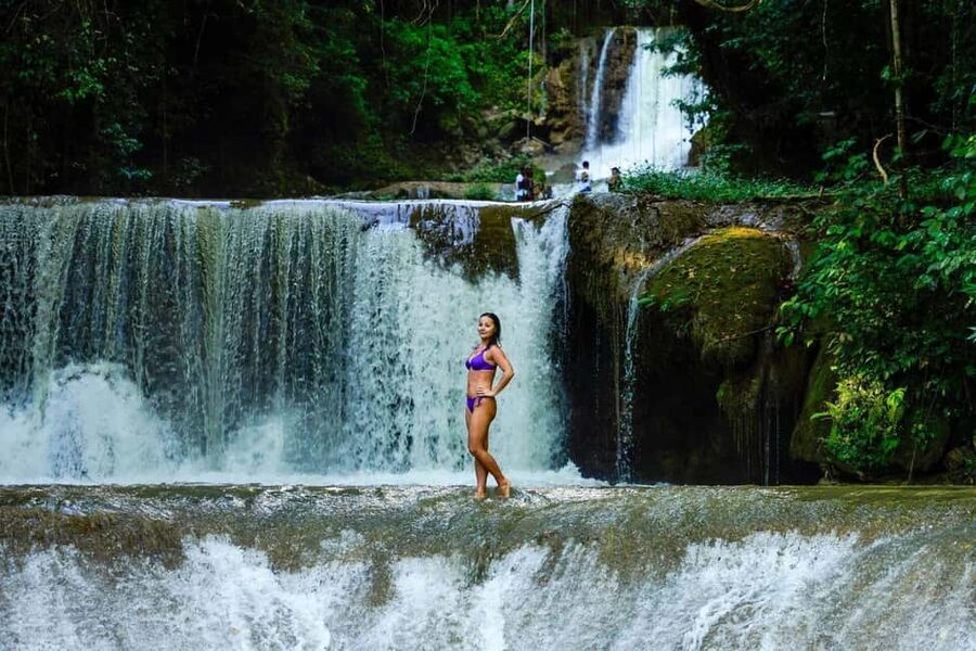 Ys Falls and Appleton Estate Private Tour - Appleton Estate and the making of Jamaican rum