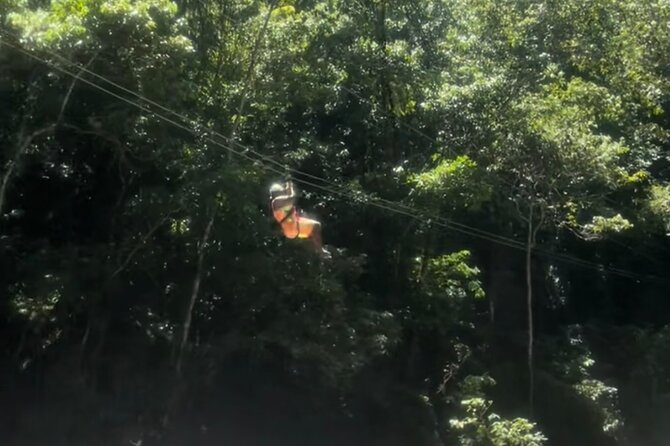 YS Falls, Black River Safari, Appleton Rum Tour OR Pelican Bar (Choose Up to 3) - Choosing the right three stops