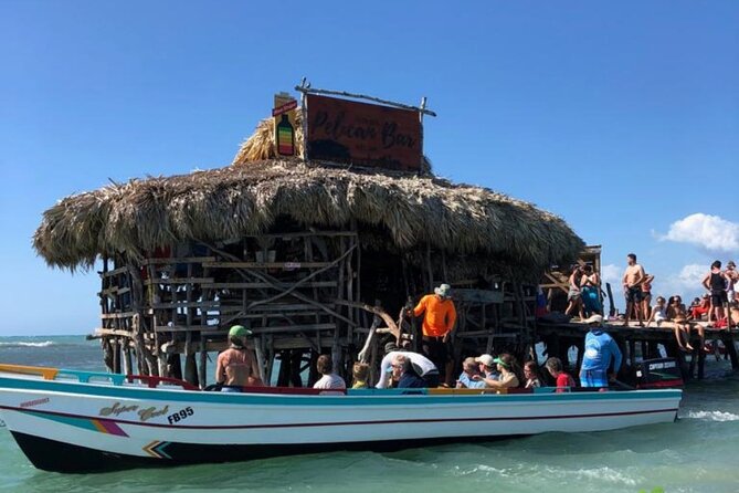 YS Falls, Black River Safari, Appleton Rum Tour OR Pelican Bar (Choose Up to 3) - Timing, fitness, and small planning details